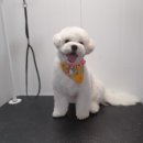 도담도담이발소 이미지