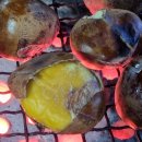 은재농원 이미지