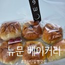 카페703 (cafe703) | 부산빵지순례 추천, 최고로 맛있는 단팥빵 맛집 해운대 뉴문 베이커리, 크루와상 샌드위치까지 너무...