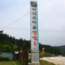 칠갑산식당 이미지