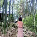 금당한의원 | 구례 1박 2일 가볼만한 곳 모음! (쌍산재, 사성암, 화엄사, 천개의 향나무, 생명수한의원)