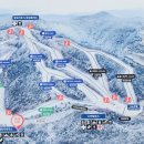 엘리시안 강촌 스키장 이미지