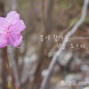 학동네 이미지