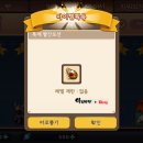 펫코디 이미지