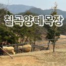 황학골식육식당 이미지