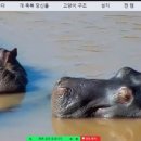 (주)샤인마스터 이미지