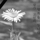 오윤정 이미지