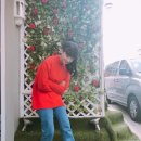 성남금융고.중탑초교 이미지