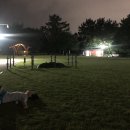 판암근린공원 이미지