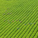 대진대학교 공공정책대학원 이미지