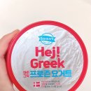 하이그릭 | 덴마크 하이그릭 프로즌요거트 후기