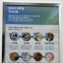 헤이라딘 이미지