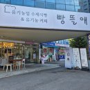빵뜰애 이미지