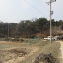 여주-1081 이미지