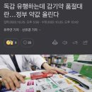 230043 이미지