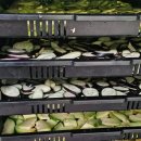 가평흑염소농장 이미지