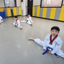 (푸른)현무태권도장 네이버블로그