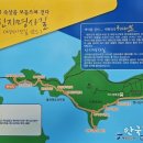 신지대교(신지도) 이미지