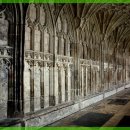 수 동물병원 이미지