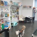 개폼나개 이미지