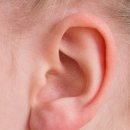 샤워 후 "면봉"으로 귀 파지 마세요! 50대 뇌막염과 청력 상실의 주범? 이미지