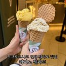 두브로브니크 올드타운 맛집 페피노 젤라또Peppino's Gelato Factory 인생 젤라또