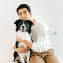 카인드솔루션 산청지점 | 카인드독 선택 전 볼 핵심 정보와 기준