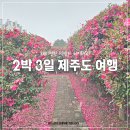 2박 3일 제주도 여행 등산유치원 돼지런한 먹방