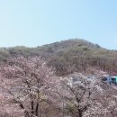 황계순만두 | 근교 드라이브 : 양주시립장욱진미술관 전시, 민복진미술관, 점심 황계순만두, 콜드브루 카페 럿지(Lodge)