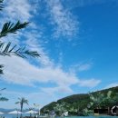 블루망고풀빌라앤리조트 | 여수 여행 - 블루망고 풀빌라앤리조트 숙박 후기