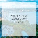 아침에 미용실