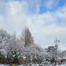 써니 빌리지 | 파주실버타운 파주에서 찾은 나만의 힐링 공간, 써니라이프 후기