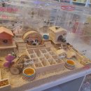 미니펫스토리 이미지