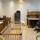 서른살나의펫 이미지