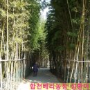 달서구시니어기술창업센터 이미지