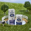 연세목장 이미지