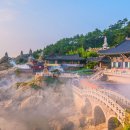 진미슈퍼 - 군포시 | 진미슈퍼