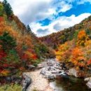 춘양양묘사업소 이미지