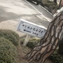 아사다라 이미지