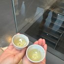 유한회사 제주사랑운수 | 여행 day 2,3 (금호 제주리조트, 백한철 꽈배기, 남원...뮤지엄 티클래스 후기, 포도뮤지엄, 포도호텔...