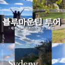 블루마운틴 선셋 투어 제니 포토스팟 줌줌투어 이용후기
