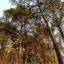 유홍묘역 이미지