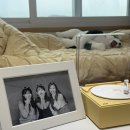 월영동107 | MEGII&#39;s 늦었지만 10월