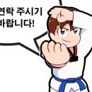 용인대미르태권도 이미지
