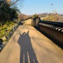 1092 | [일상] 경주 당일치기 여행 후기 | 황리단길 | 금관총 | 최부자댁 | 월정교 | 첨성대 (: