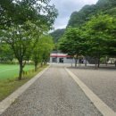 아우라지 자연농원 | 정선캠핑장 시설 좋은 가네골농원 방문 후기