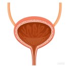 엘산부인과의원 이미지