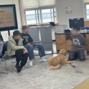 변산중학교 이미지