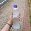 성하데일리/2018.6.10 ~ 2018.6.17