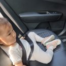 18개월 해이몬 밤비니 몬테소리 첫수업 후기